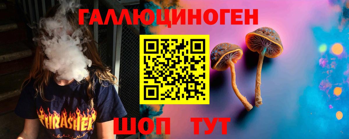 Дубна  Псилоцибиновые грибы GOLDEN TEACHER  Вход с VPN 